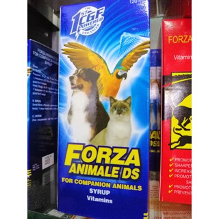 FORZA ANIMALE DS FOR COMPANION ANIMALS SYRUP VITAMIS 120ML