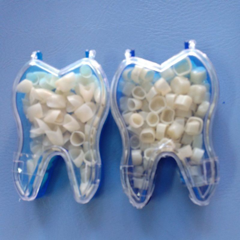 Plastic tooth resin for anterior and posterior