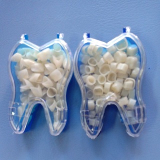 Plastic tooth resin for anterior and posterior #1