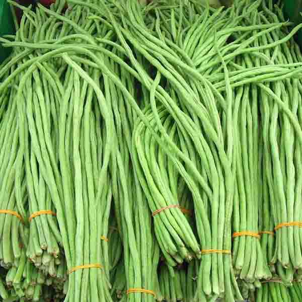 Pole Sitao Sitaw Bulacan White 3grams 1520 seeds Long Green Seeds