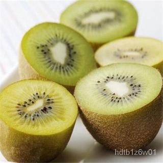 New Store Offers Philippines Ready Stock 100pcs Kiwi Fruit Seeds - Green Kiwi Seeds - Yellow Golden  #2
