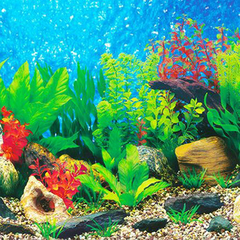 Wallpaper Background Aquarium Decorative Fish Tank Sticker 40 cm M8ph Shopee Philippines