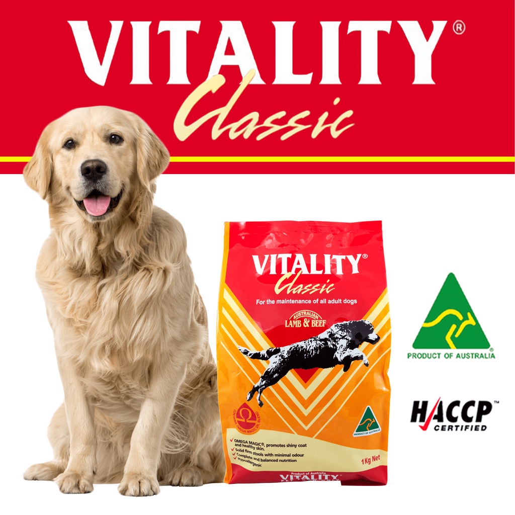 can-i-bring-my-dog-to-australia-from-philippines
