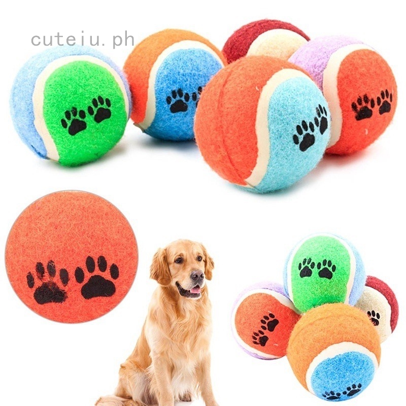 outdoor dog toys