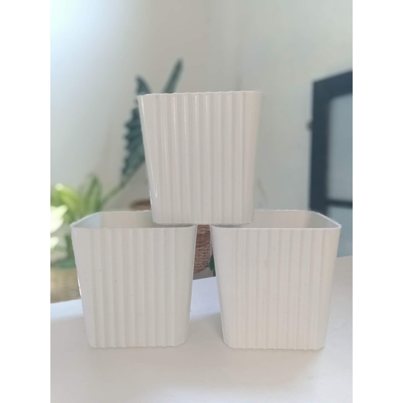 Medium corrugated plastic pots 4x4 inches Shopee Philippines