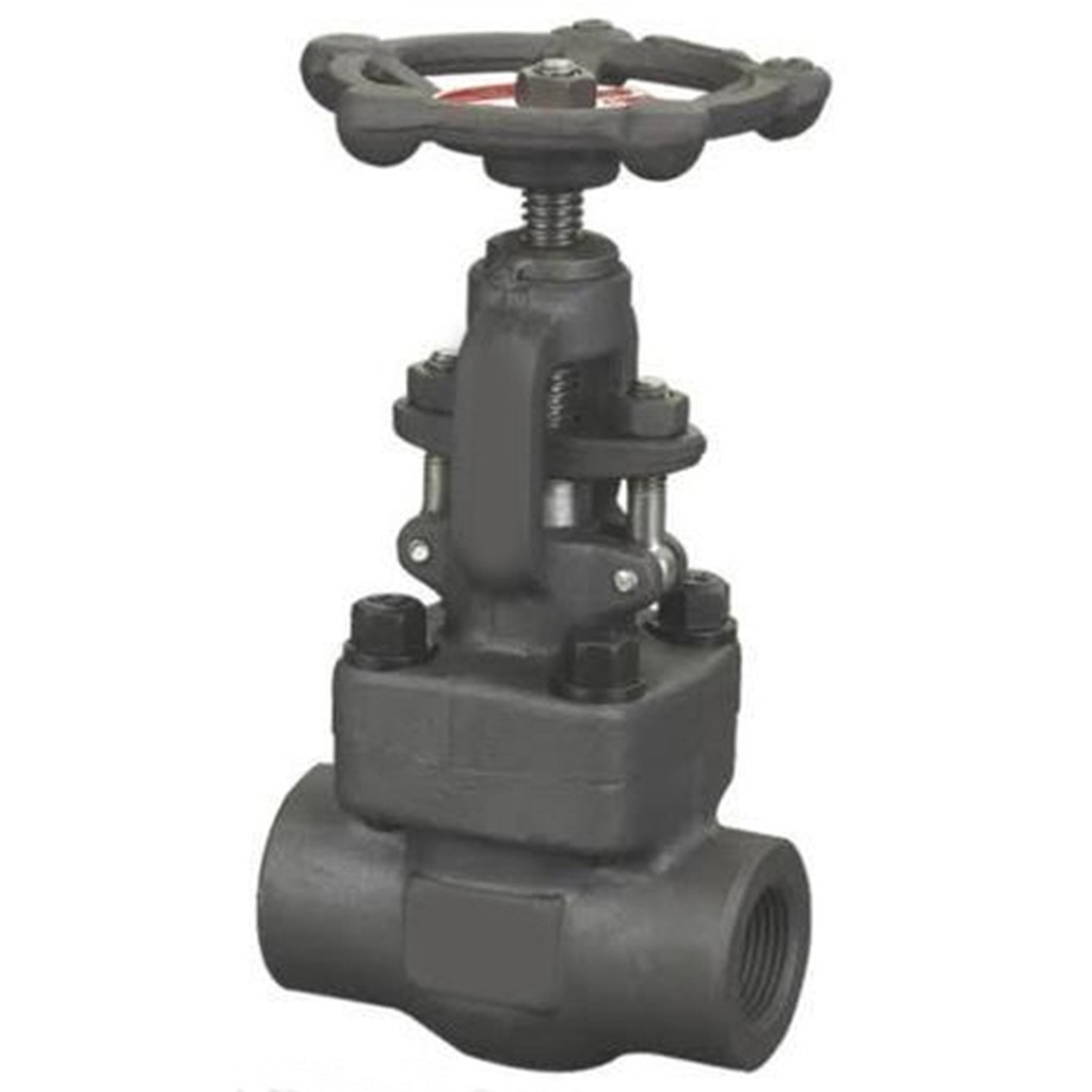 Meisons Forged GLOBE valve 1