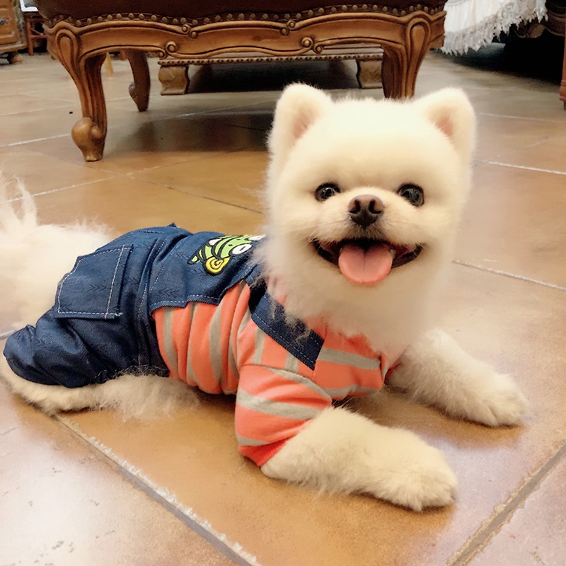 pomeranian dog sweaters