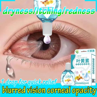Rohto Eye Drop-15g|hyssop eye drops original/rohto eye drops/eyedrop care eye dropper from japan