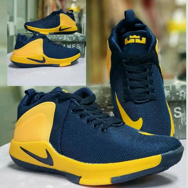 lebron james nba shoes