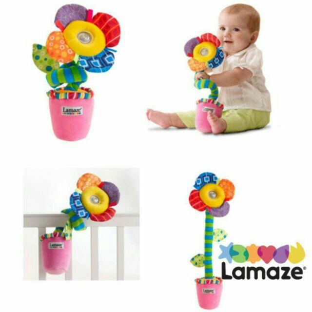 Lamaze Lights Sounds Wrap And Goflowerpot Stroller Crib Toy