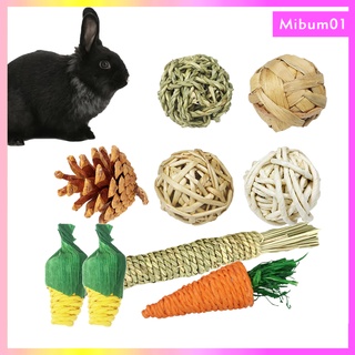 [MIBUM] 9PCS Guinea Pig Toys, Hamster Chew Toys Rats Chinchillas Toys Accessories Safe Material Exercise Teeth Care Molar Toy for Bunny Rabbits Gerbils