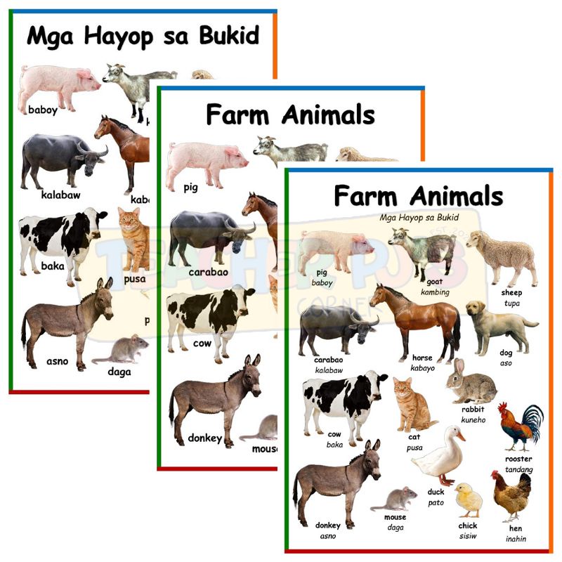 Farm Animals A4 Size Thick Laminated Educational Wall Chart for Kids |  Shopee Philippines