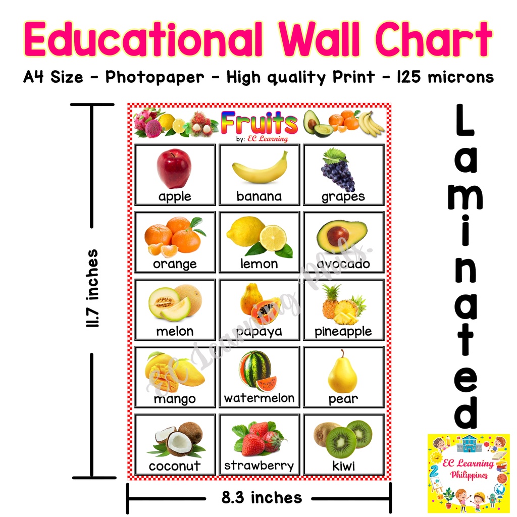 A4 FRUITS Laminated Educational Wall Chart for Kids Shopee Philippines