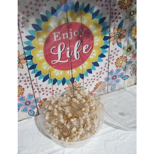 Cheapest Real Dried Flowers in a Tub (round) Shopee Philippines