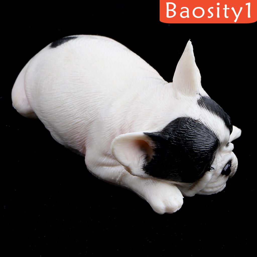 french bulldog b