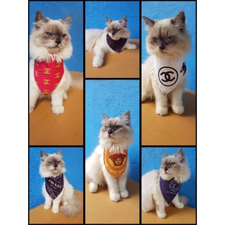 Pet Scarf Triangle Bandana for Cats and Dog (Designers Prints) Fit to Small to Large Size