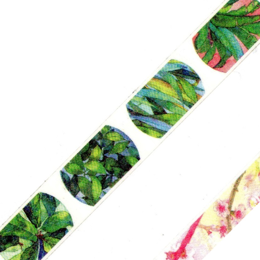 Washi Tape (Jungle) Shopee Philippines