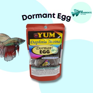 Aquarium Daphnia Moina Dormant Egg Hatchable 1 Capsule