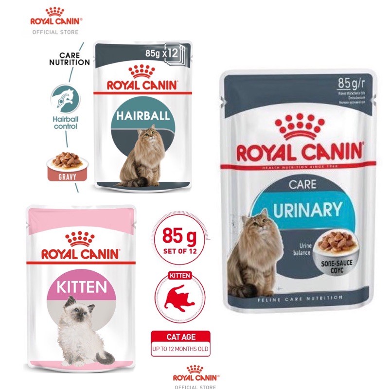 Royal Canin Kitten Cat Urinary Care Hairball Care Intense beauty