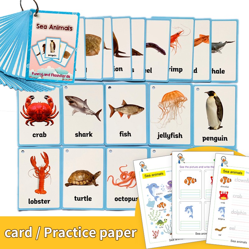 21pcs Set Sea Animals English Cognitive Flash Cards Practice Paper Exercise Coloring Books Educational Toys Shopee Philippines