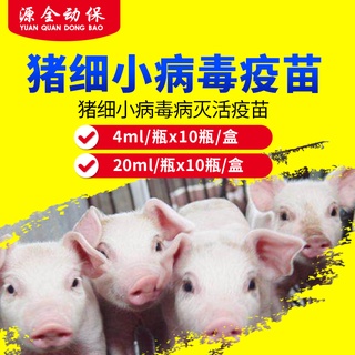 Animal medicine Vaccines for pigs Porcine parvovirus inactivated vaccine sow abortion stillbirth mum