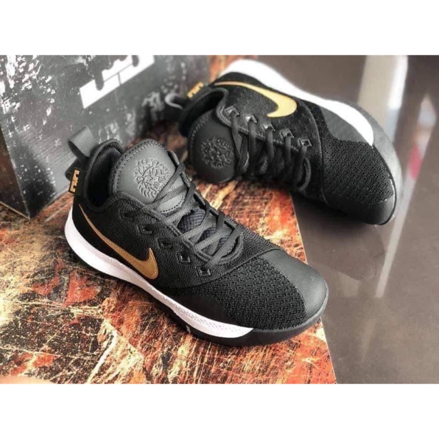 lebron shoes price philippines