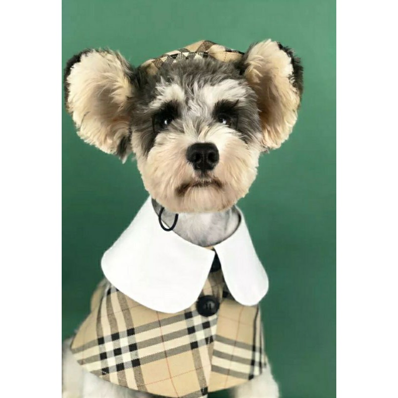 Burberry dog clothes | Shopee Philippines