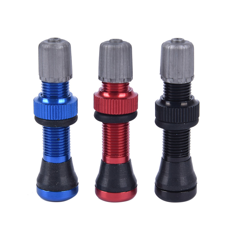 schrader tubeless valve