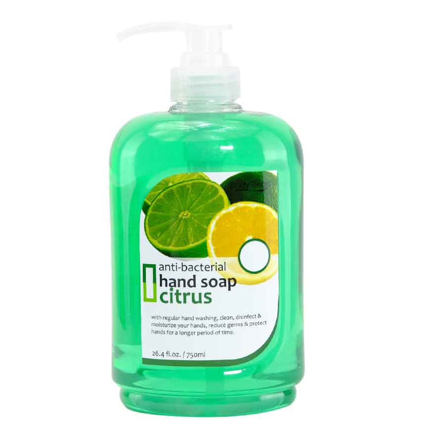 BODY TREATS Citrus Hand Soap 750ml Shopee Philippines