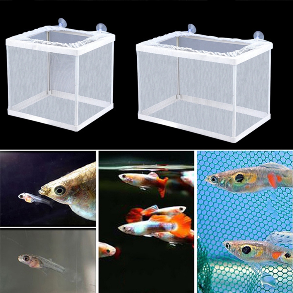 Aquarium Fry Baby Fish Tank Guppy Breeding Breeder Trap Box