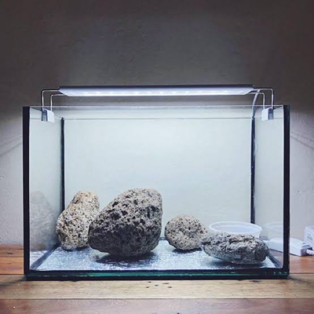 5 gallon glass aquarium rimless or with rim fish tank ( decors soil ...