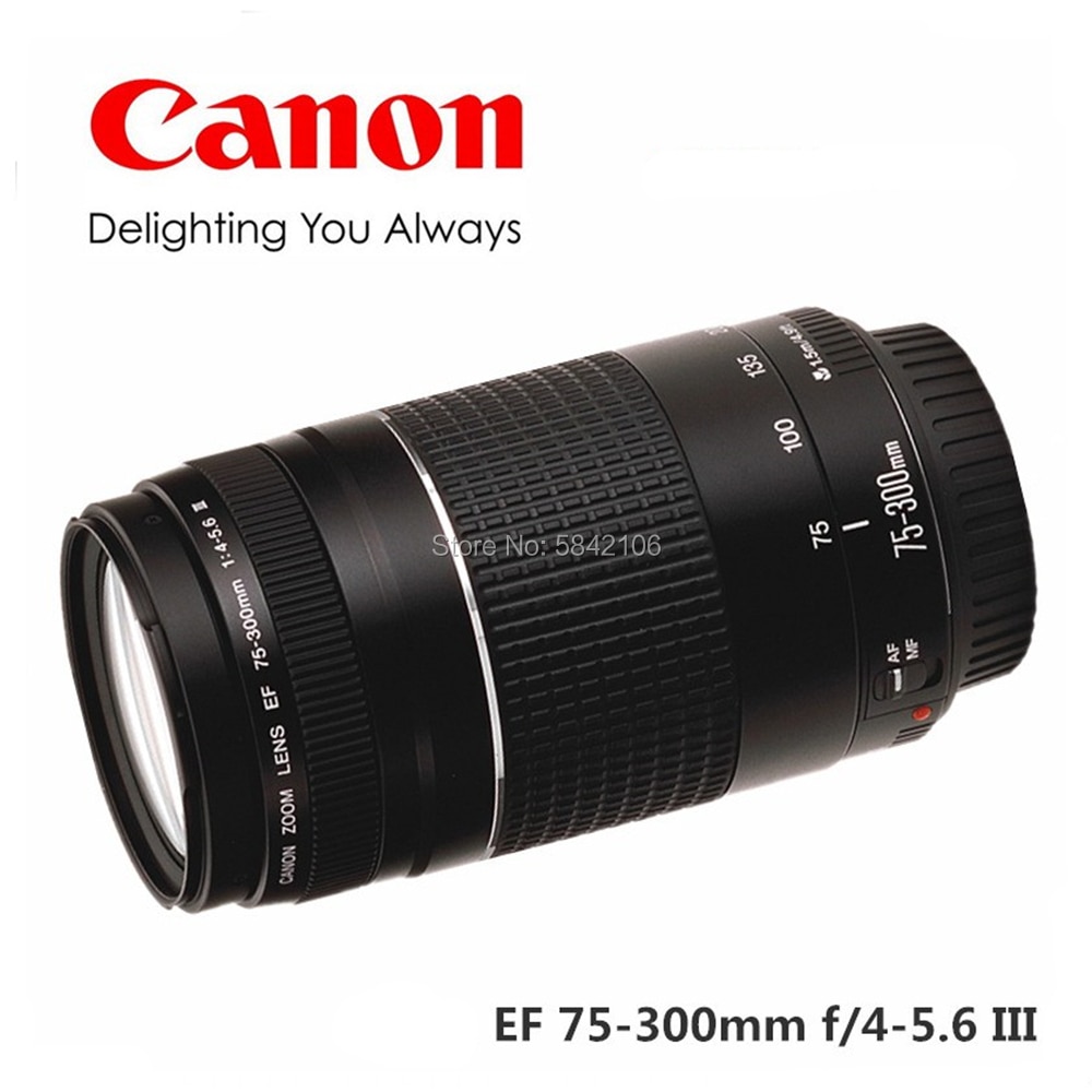 Canon Camera Lens Ef 75 300mm F 4 5 6 Iii Telephoto Lenses For 1300d 650d 600d 700d 77d 800d 60d Shopee Philippines