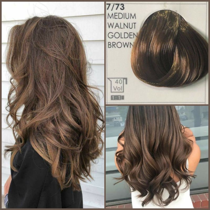 Walnut Brown Hair 50 Different Shades Of Brown Hair Colors You Can T Resist finaljournal