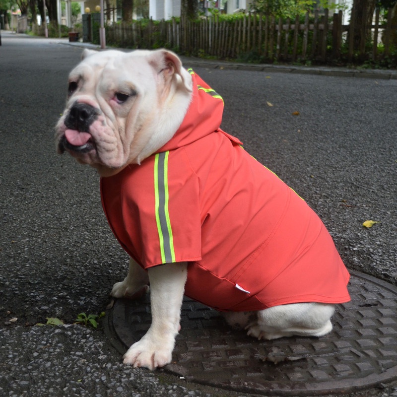 Dog Clothes French Bulldog Raincoat Pug English Bulldog Pit Bull Terrier American Bully Pitbull Clo0 #9