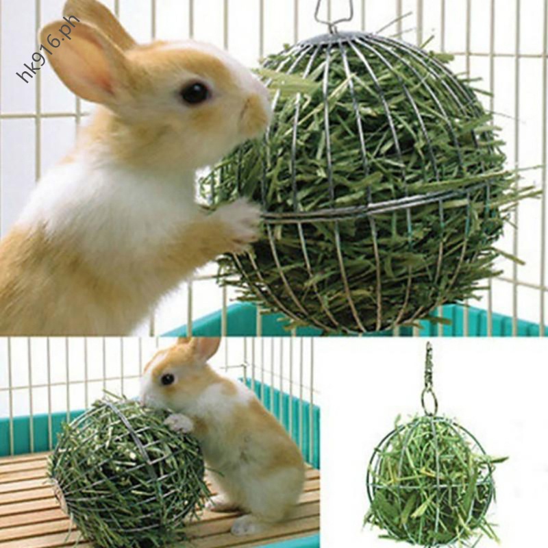 Creative Feeding Grass Brief Dispense Exercise Hanging Hay Funny Iron Ball Guinea Pig Hamster Rabbit Pet Toys #2