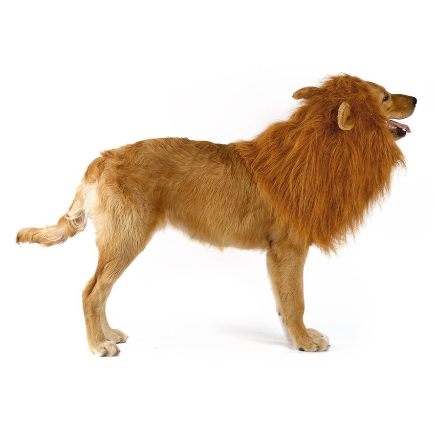 Dog Lion Wigs Mane Hair For Party Halloween Festival #4