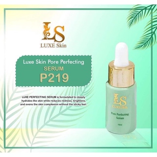 Luxe Skin Pore Perfecting Set By Anna Magkawas Shopee Philippines