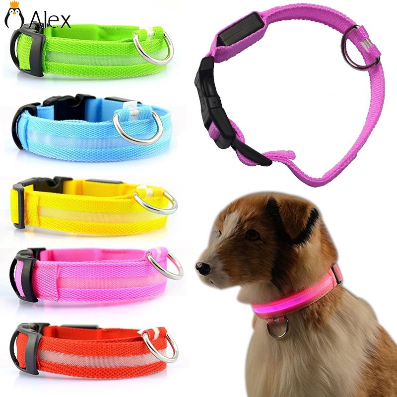 safety dog leash