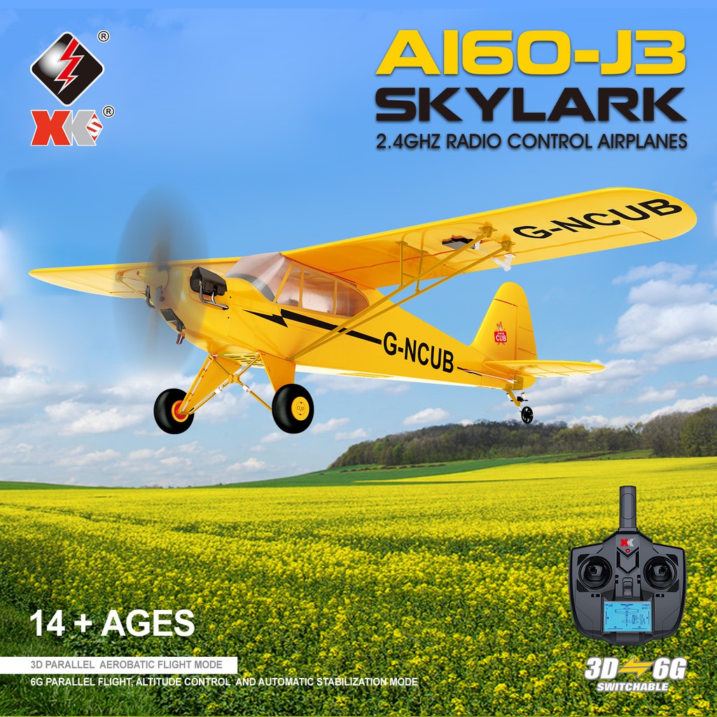 remote control airplanes for adults