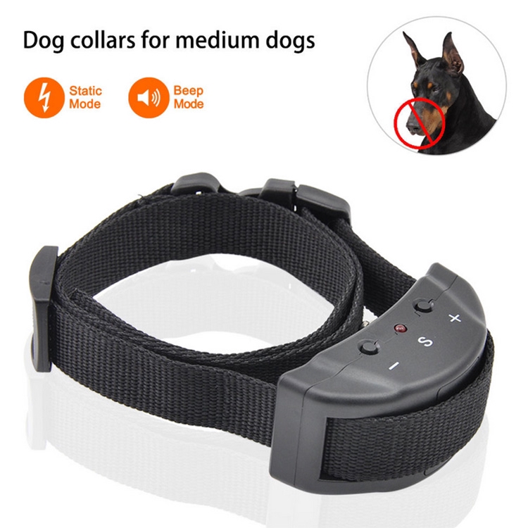 anti barking collar for small dogs