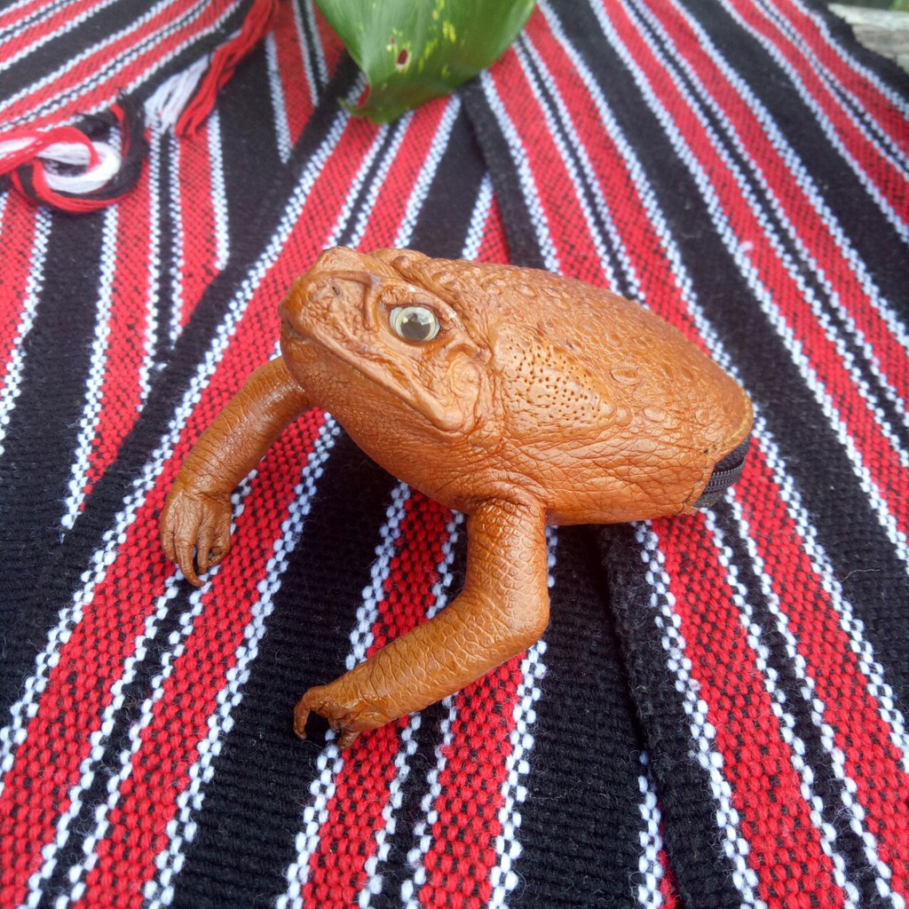 Frog Coin Purse, Frog Skin Coin/money Purse Shopee Philippines