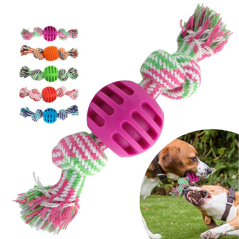 outdoor dog brand toys