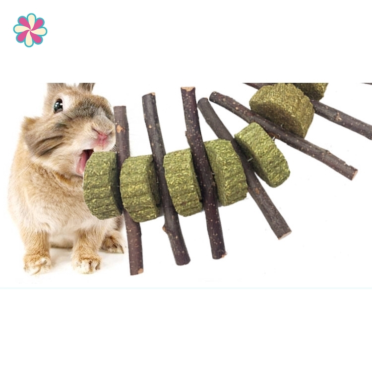 Apple Sticks Pet Snacks Chew Toys 2 Pack Rat Chew Toys for Teeth