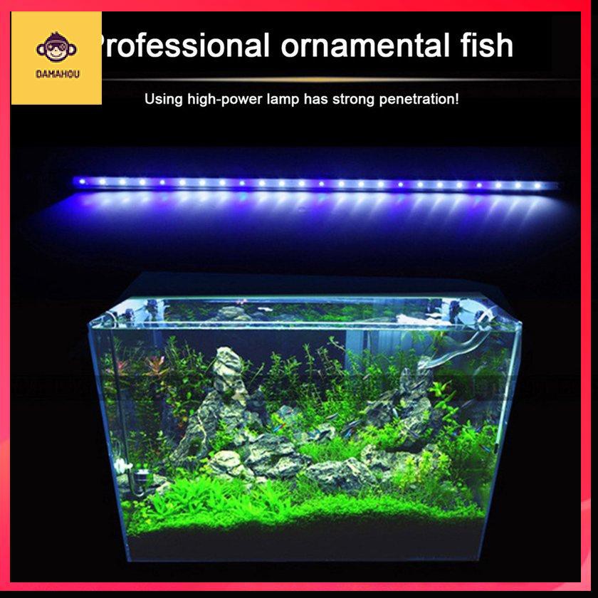 fish tank small size