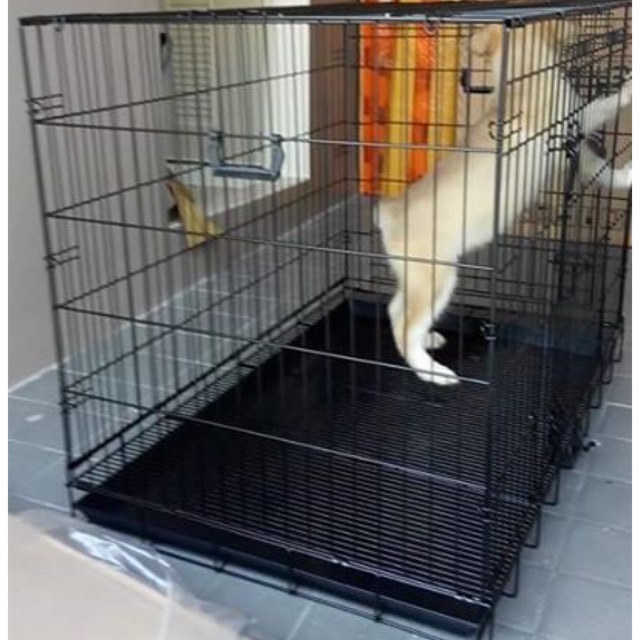 large breed dog crate