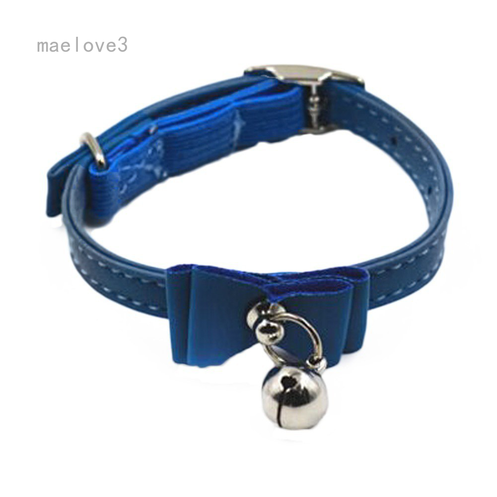 blue velvet dog collar