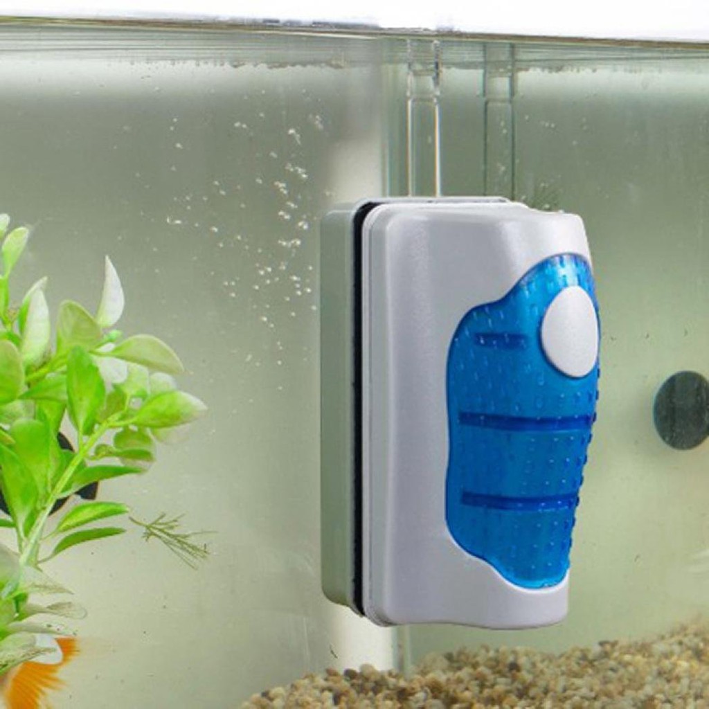 fish tank cleaning equipment