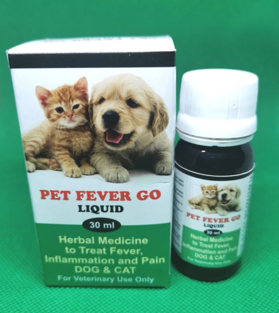 how do you treat a fever in a dog