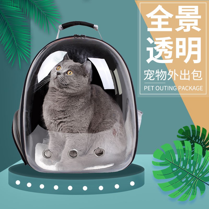 space capsule cat backpack