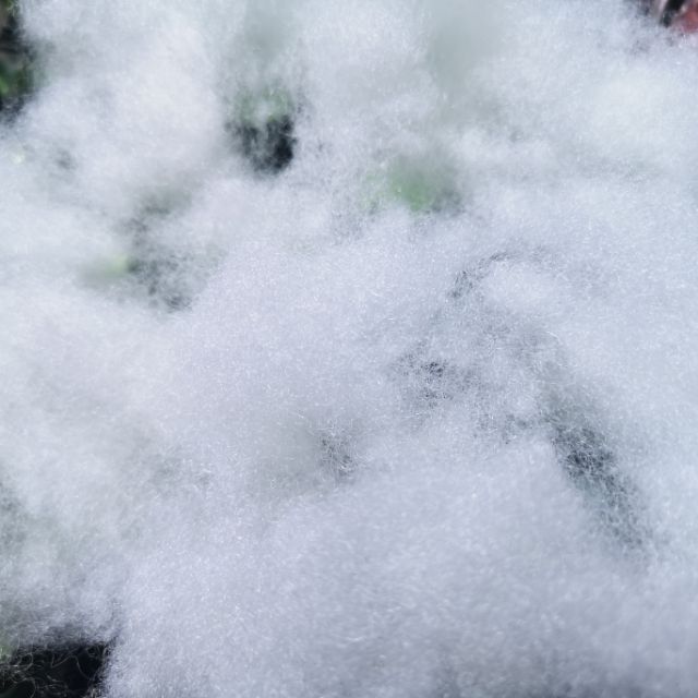 Fiberfill Cotton For Pillow Per Kilo Cuzz Shopee Philippines